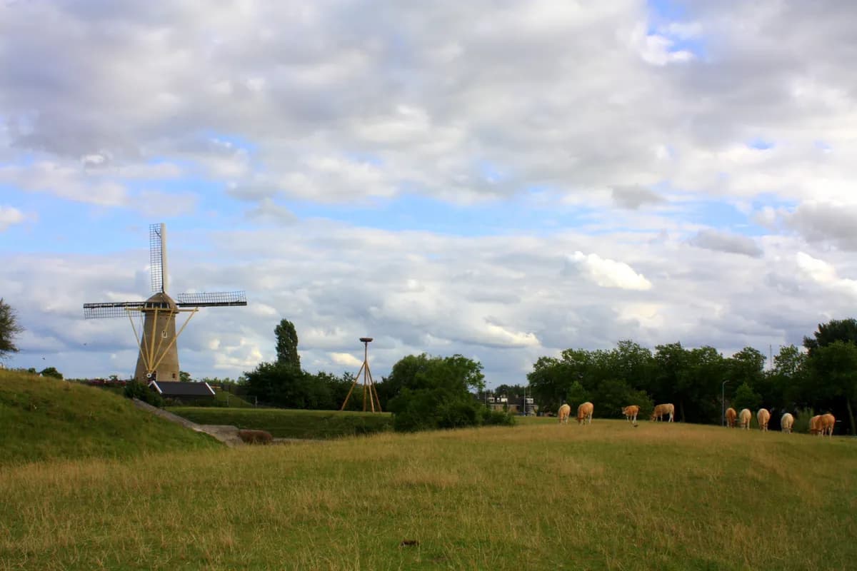 Rijles met Rijschool Rijcoach in Hoofddorp